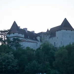 Дом отдыха Chateau De Goudourville